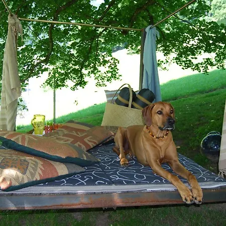 Haus Zur Krone Panzió