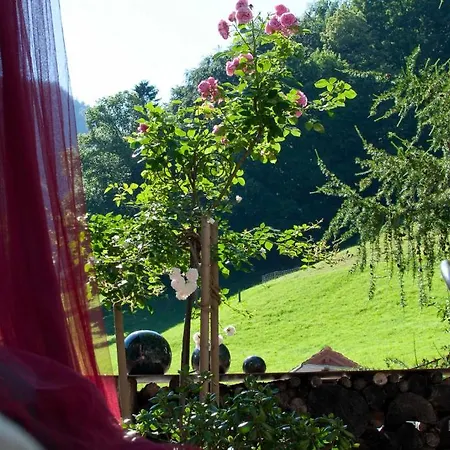 Haus Zur Krone Oberriet