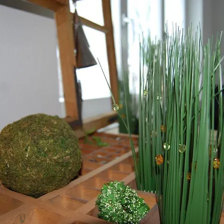 Haus Zur Krone Oberriet