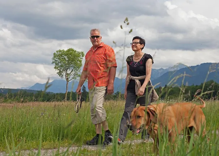 Haus Zur Krone Bed & Breakfast 3*